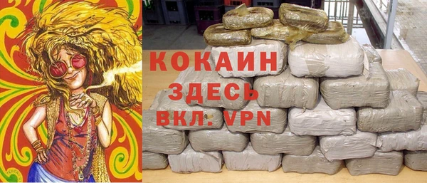 гидропоника Алзамай
