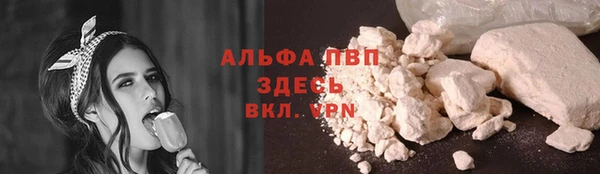 гидра Абаза