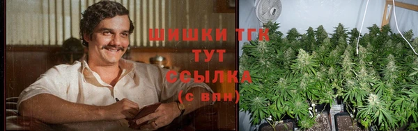 гидра Абаза