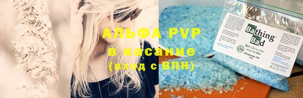 гидра Абаза