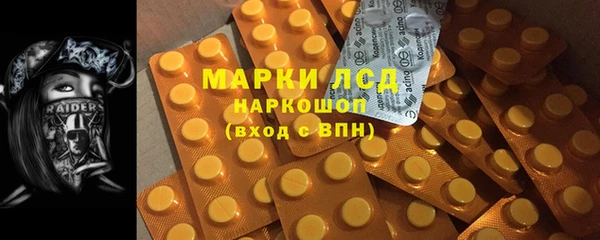 гидропоника Алзамай