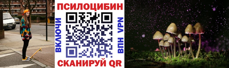 Галлюциногенные грибы Psilocybe  Магадан 